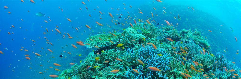 Hotel Hamahigashima Resort Uruma Ngoại thất bức ảnh